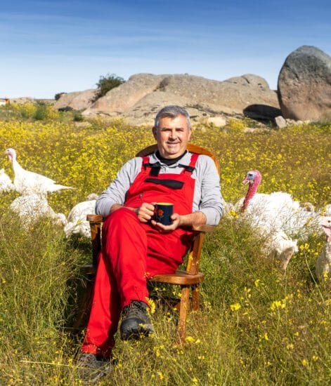 Carne ecológica animales criados en campos