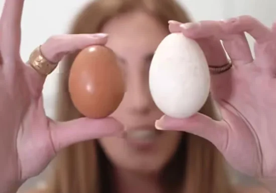 comparación entre huevo de pava y huevo de gallina en la mano